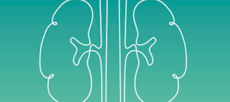 An icon of kidneys outlined on a blue-green background