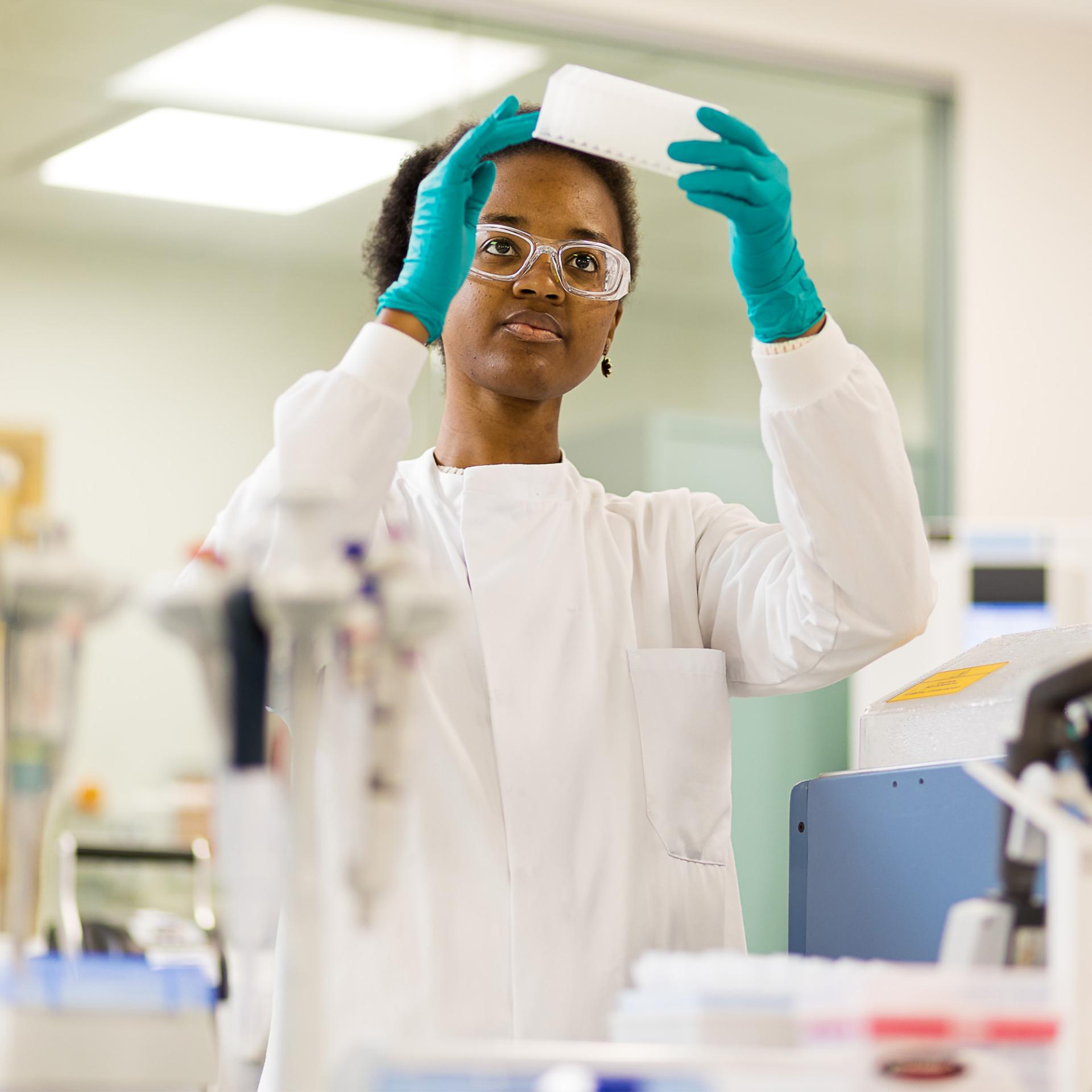 An image of a scientist holding up a tray to examine it