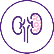 Autosomal dominant polycystic kidney disease icon