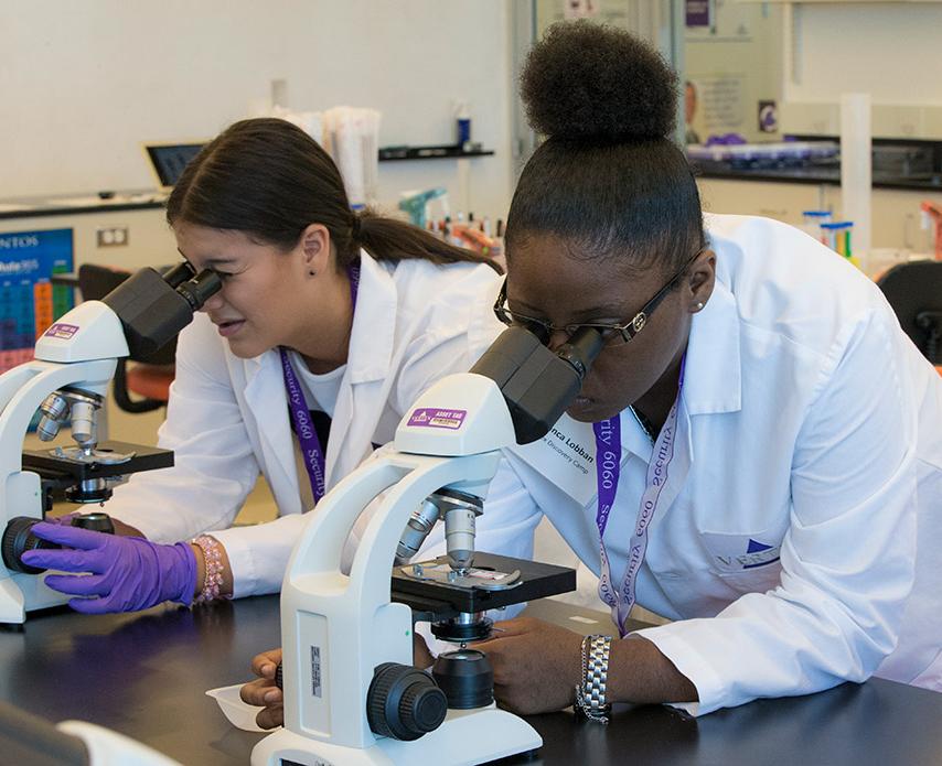 Two Learning Lab students using microscopes