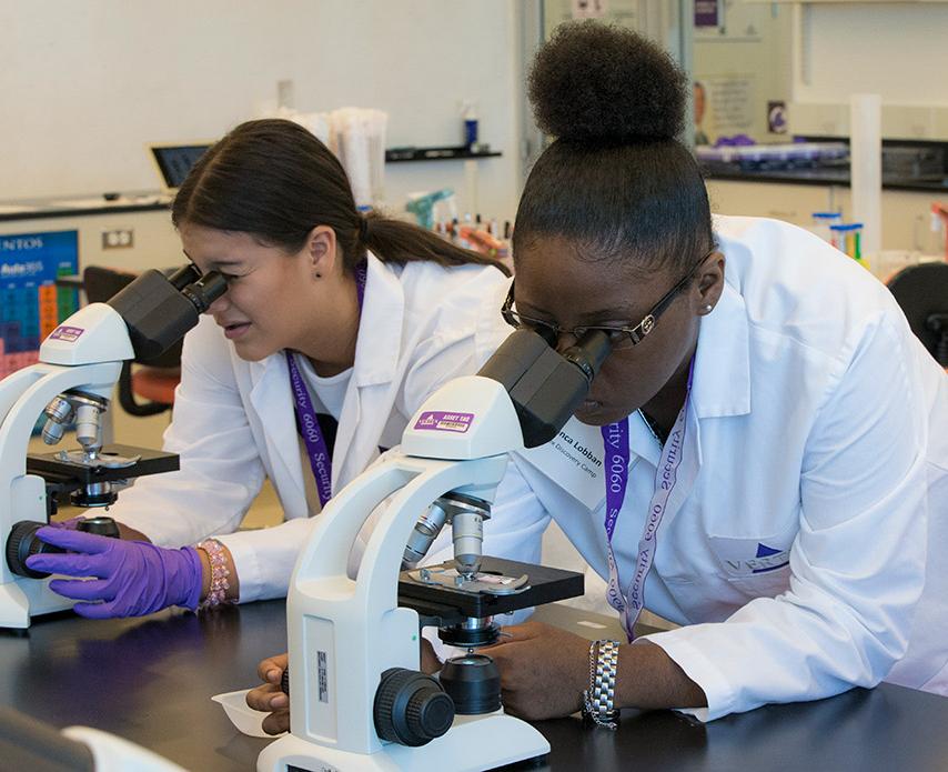 Two Learning Lab students using microscopes